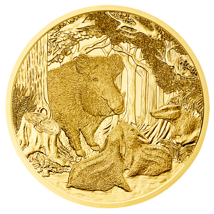 100 Euro Goldmünze Das Wildschwein Bildseite 100 Euro Goldmünze Das Wildschwein