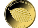 Deutscher Wald Buche 2011 Bildseite