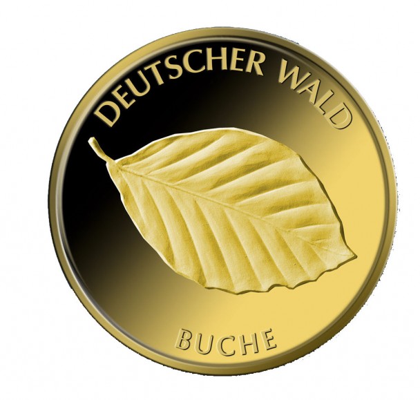 Deutscher Wald Buche 2011 Avers 608x579 Deutsche Goldmünzen in Euro