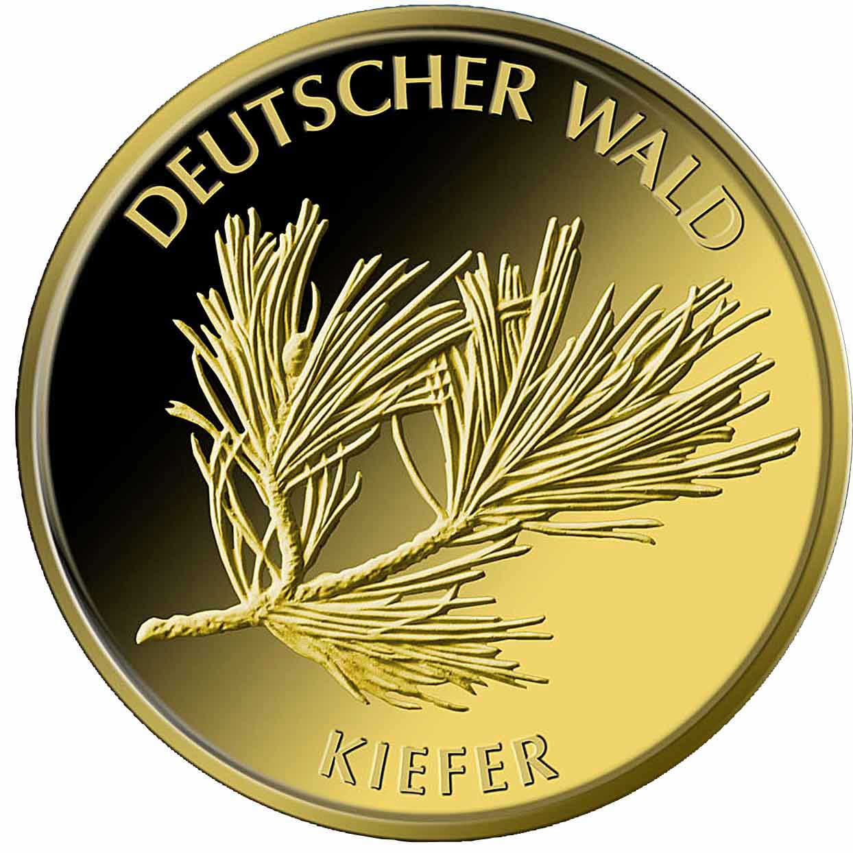 20 Euro Goldmünze Deutscher Wald Kiefer 2013 Bildseite 20 Euro Goldmünze Deutscher Wald Kiefer